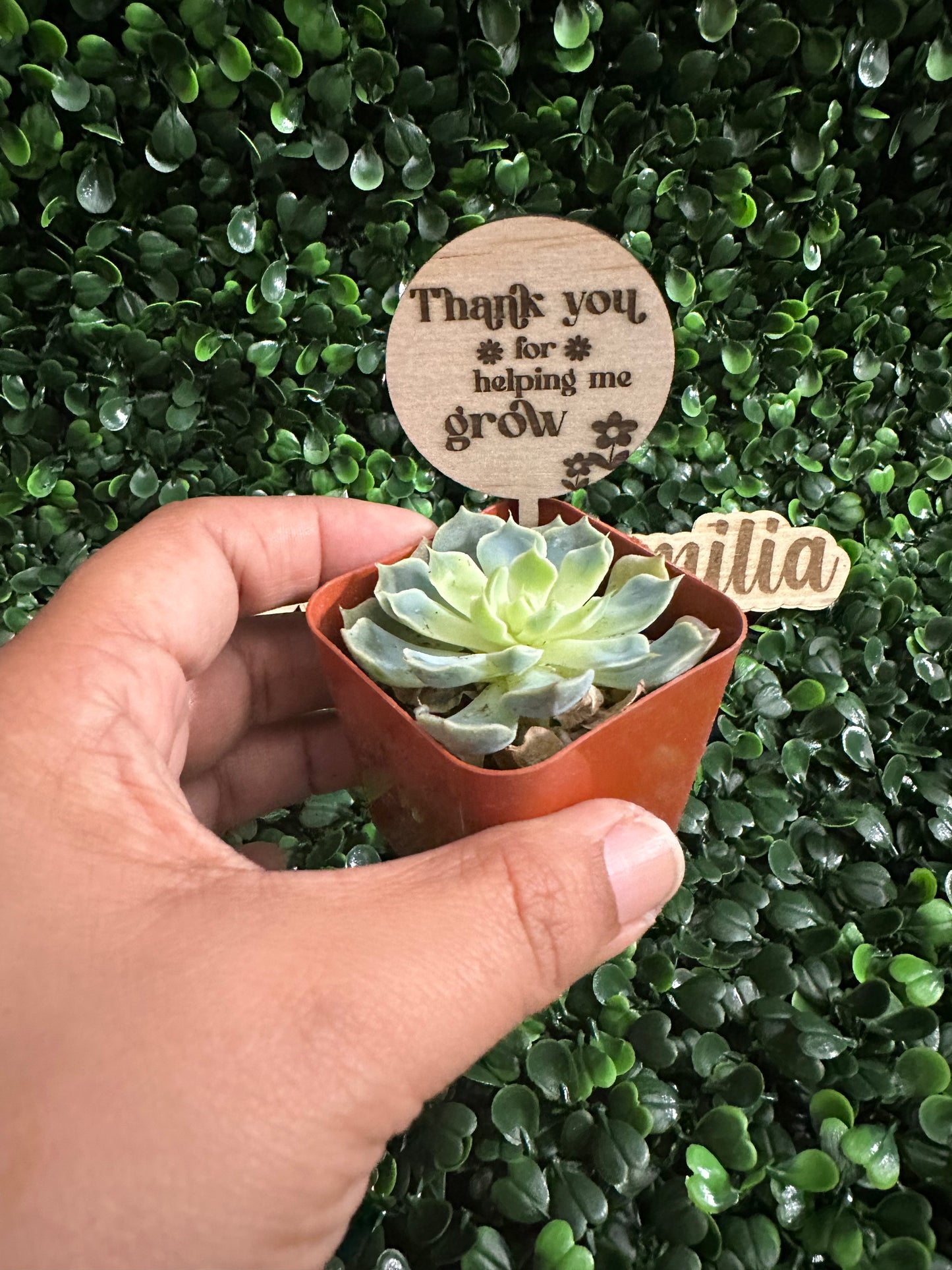 Helping me grow