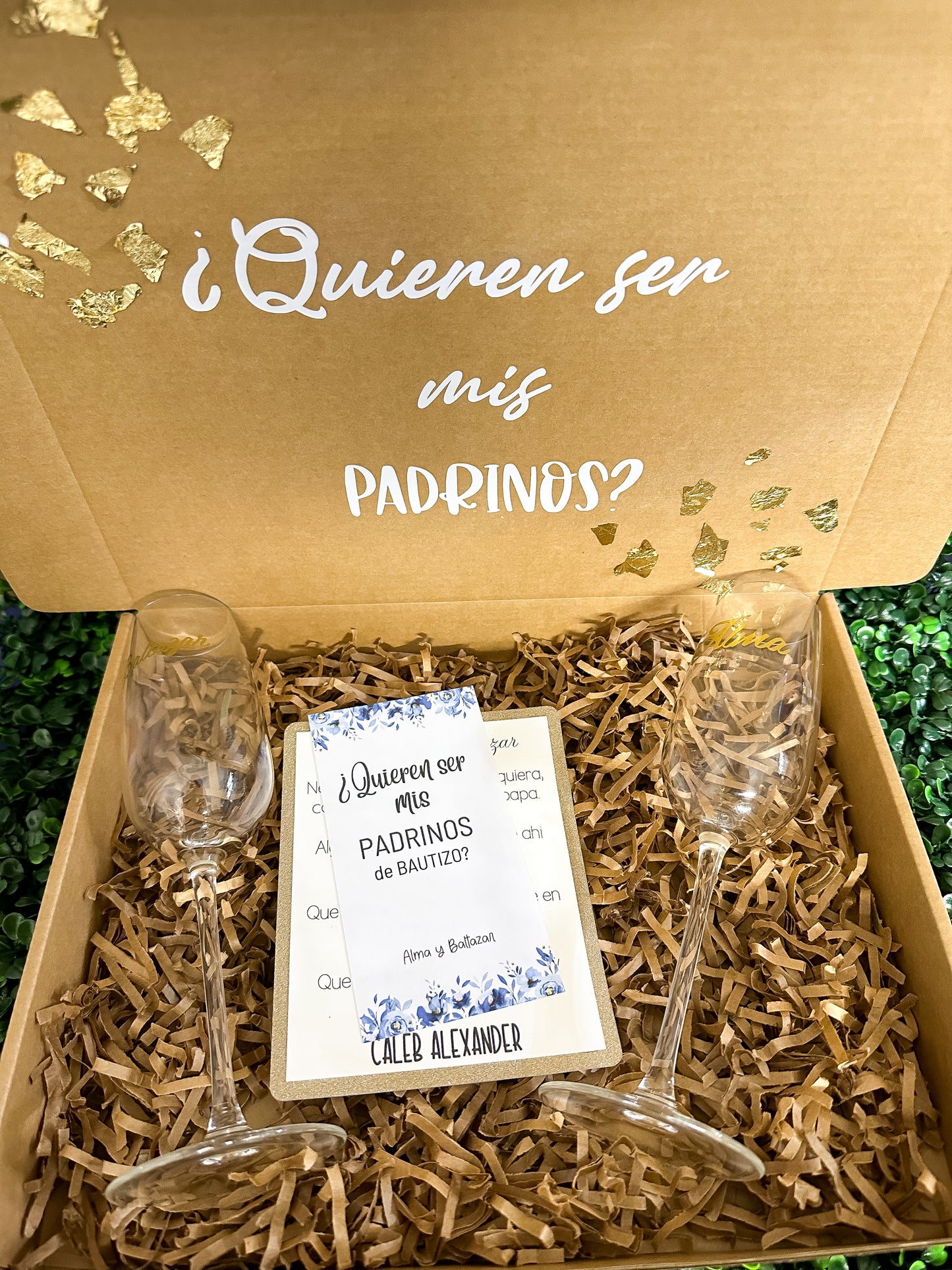 Padrinos Proposal